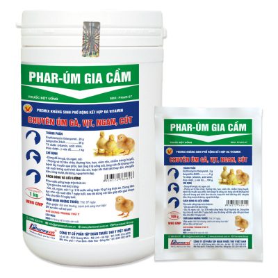 PHAR-ÚM GIA CẦM