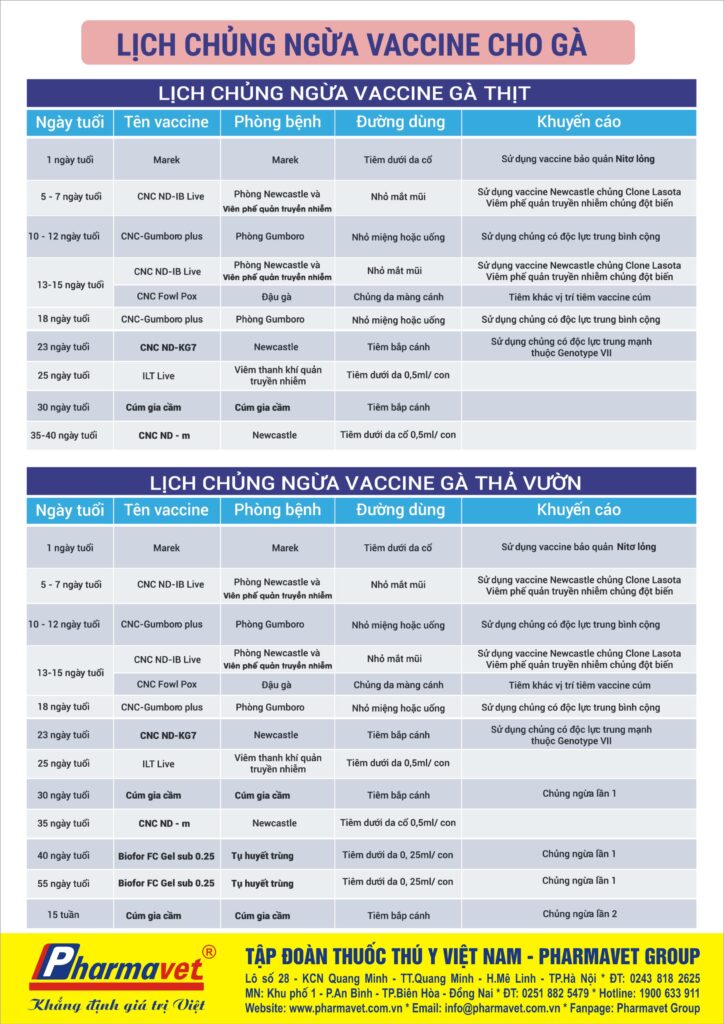 Các phương pháp tiêm phòng hiệu quả