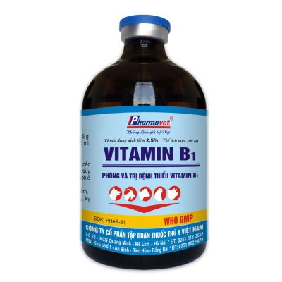 VITAMIN B1 2.5%