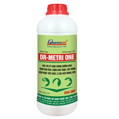 DR-METRI ONE