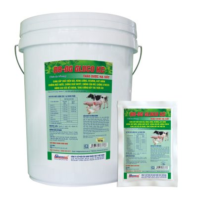 DR- ĐG GLUCO KC THẢO DƯỢC