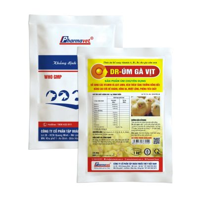 DR- ÚM GÀ VỊT
