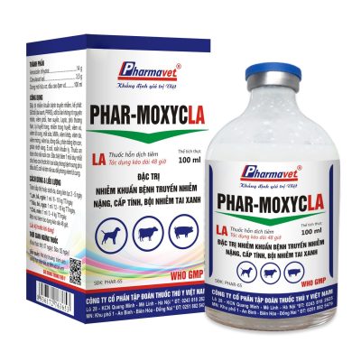PHAR-MOXYCLA