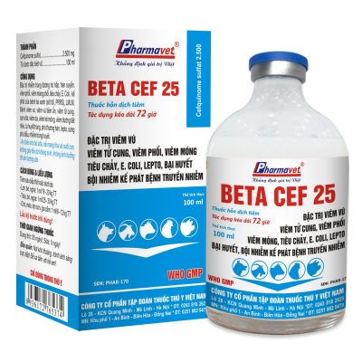 BETA CEF 25