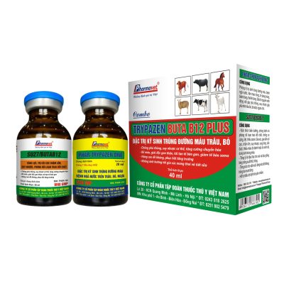 TRYPAZEN BUTA B12 PLUS